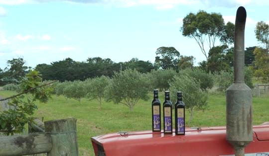Devon Siding Olive Oil bottles on a tractor